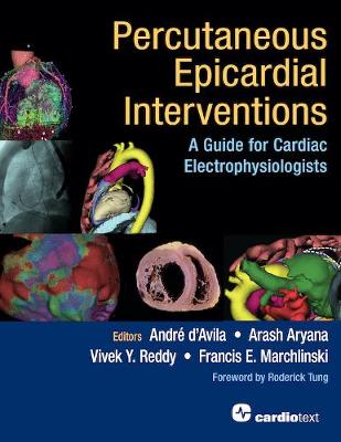 Percutaneous Epicardial Interventions