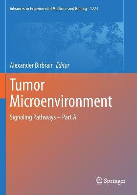 Tumor Microenvironment