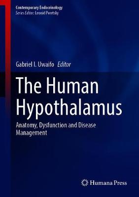The Human Hypothalamus