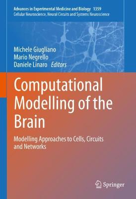 Computational Modelling of the Brain