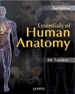 Essentials of Human Anatomy
