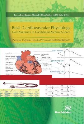 Basic Cardiovascular Physiology