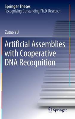 Artificial Assemblies with Cooperative DNA Recognition